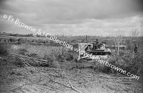 BULLDOZER  CLEARING SCRUB AND TREES